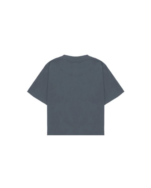 ARG GREY T-SHIRT BABY TEE - QUADRO CREATIONS - Image 2